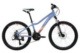 Детский велосипед WELT Floxy 1.0 24 D (2024)